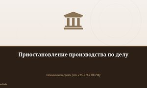 Приостановление производства по делу.