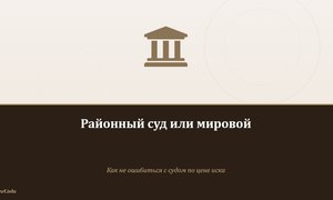 Районный суд или мировой.