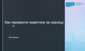 Скриншот 04-01-2026 160025