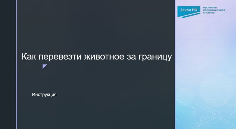 Как перевезти животное за границу: инструкция