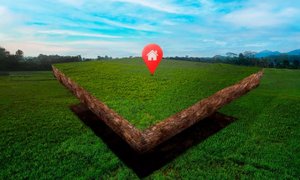 Скриншот 12-07-2025 005356