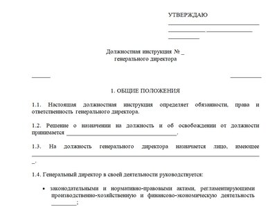 Должностная инструкция генерального директора. Образец