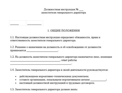 Должностная инструкция заместителя генерального директора. Шаблон