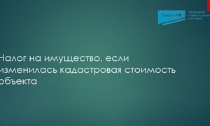 Скриншот 30-12-2025 220612