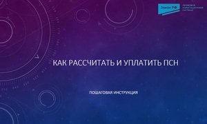 Стоимость ПСН