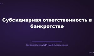 Субсидиарная ответственность в банкротстве.