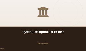 Судебный приказ или иск.