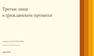 Третьи лица в гражданском процессе.