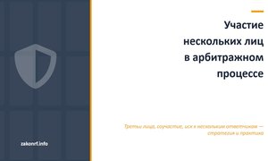 Участие нескольких лиц в арбитражном процессе.