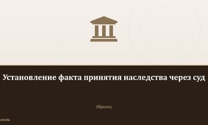 Установление факта принятия наследства через суд .