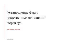 Установление факта родственных отношений через суд.