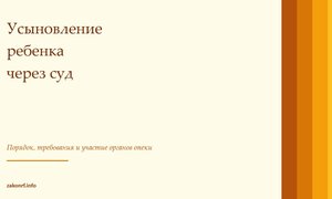 Усыновление ребенка через суд.