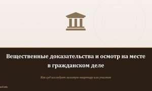 Вещественные доказательства и осмотр на месте в гражданском деле.