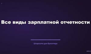 Все виды зарплатной отчетности