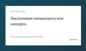 Заключение специалиста или эксперта.