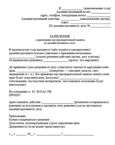 Заявление о применении мер предварительной защиты по административному иску