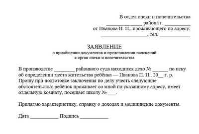 Заявление о приобщении документов и представлении пояснений в орган опеки и попечительства