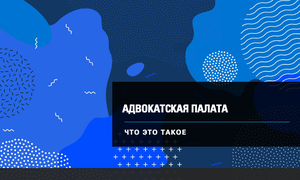 адвокатская палата