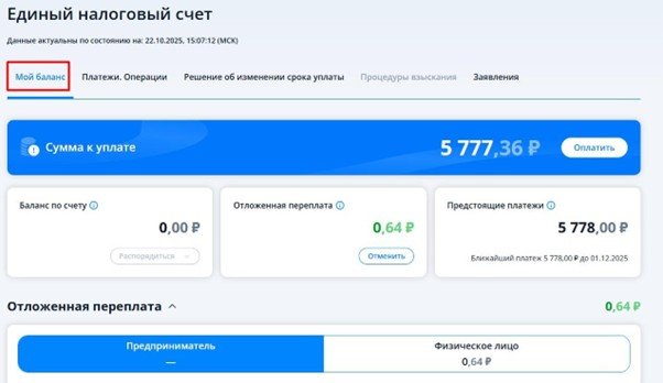 баланс ЛК ИП