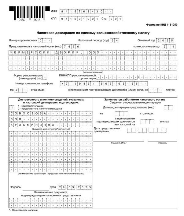 декларация по ЕСХН титульник