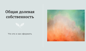 общая долевая собственность