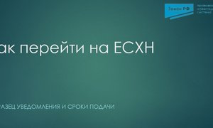 переход на ЕСХН